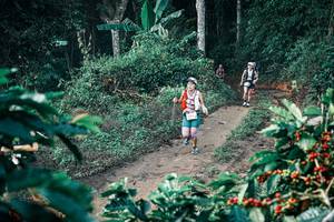 BIB: 
                            <button type="button" onclick="openModal(25797039)" class="btn btn-primary btn-sm float-right btn-popup" data-toggle="modal" data-target=".modal-high-quality">
                        <i class="fas fa-shopping-cart"></i> Add to Cart
                    </button>
                                            <button type="button" onclick="isThisMe(25797039, true)" class="btn btn-success btn-sm float-right btn-popup btn-isme hidden" data-toggle="tooltip" data-placement="bottom" title="นี่คือรูปของคุณใช่ไหม คลิกที่นี่เพื่อเอาเข้าอัลบั้ม">
                        <i class="fas fa-plus"></i> Add to album
                    </button>
                    <button type="button" onclick="isThisMe(25797039, false)" class="btn btn-warning btn-sm float-right btn-popup btn-isnotme hidden">
                        <i class="fas fa-ban"></i> Remove from album
                    </button>